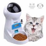 Pet Automatic Feeder Dog Cat Drinking Bowl With Voice Recording and LCD Screen Wet/Dry Food Bowls Dog Dispensers 4 times a Day