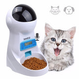 Pet Automatic Feeder Dog Cat Drinking Bowl With Voice Recording and LCD Screen Wet/Dry Food Bowls Dog Dispensers 4 times a Day