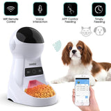 Pet Automatic Feeder Dog Cat Drinking Bowl With Voice Recording and LCD Screen Wet/Dry Food Bowls Dog Dispensers 4 times a Day