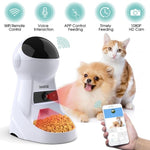 Pet Automatic Feeder Dog Cat Drinking Bowl With Voice Recording and LCD Screen Wet/Dry Food Bowls Dog Dispensers 4 times a Day